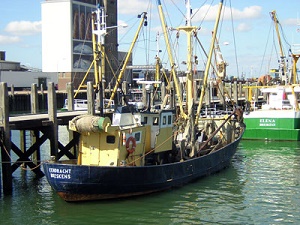 vissersboot in haven